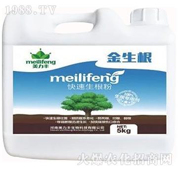 ����������-������-�����S