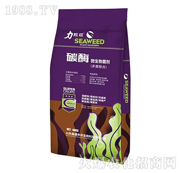 ̼ø΢�������-������-��ʢ���r(n��ng)