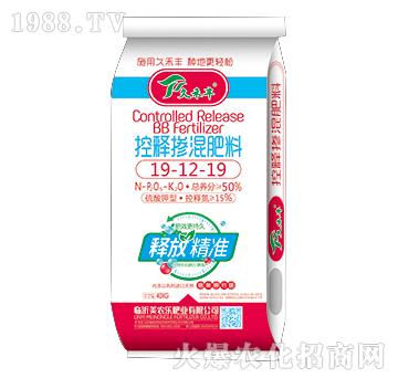 ��ጓ������19-12-19-�ú��S-���r(n��ng)��