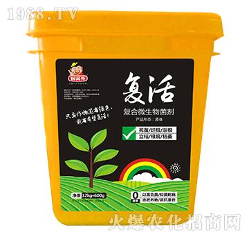 �ͺ�΢�������-�ͻ�-�f��