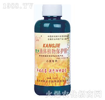 С������-Һ�wֲ�ﱣ�o(h��)Ĥ-�_(k��i)����