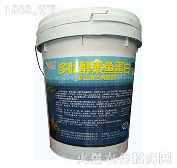 �ͺ�΢�������-���Ľ����~����-ؐ����