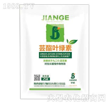 �|���~�G��-��������