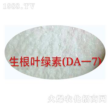 �����~�G�أ�DA��7��-�������