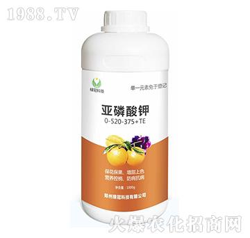 �������0-520-375+TE-�G��