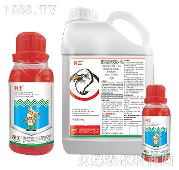 41%�ݸ�좮������}-�x��-��Ҋ����