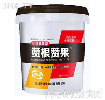 ���������-ٝ��ٝ��-��ʢ����