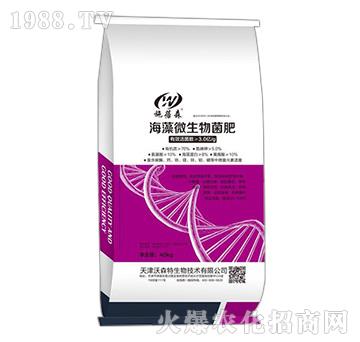 ����΢�������-ʩ��ɭ-��ɭ��