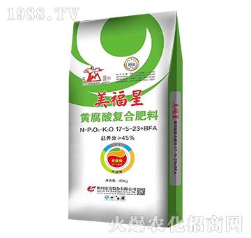 �S����ͺϷ���17-5-23+BFA-������-���_