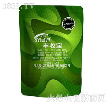 �S�Ռ�-�f(w��n)������