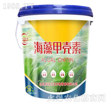 ����ך���-�֠�٥-�֠���