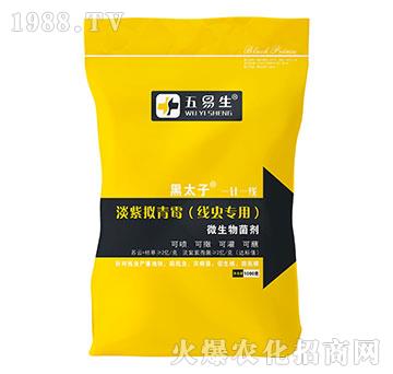 ��(xi��n)�x(ch��ng)��(zhu��n)�õ��ϔM��ù-��̫��-������