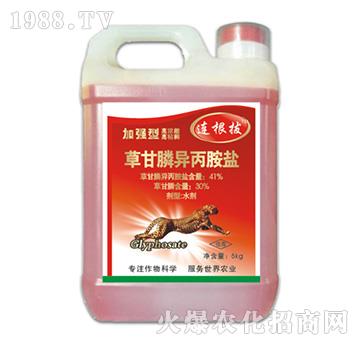 41%�ݸ�좮������}���ӏ��ͣ�-�B����-�ݵ�˹