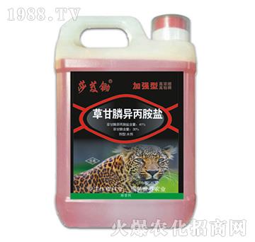 41%�ݸ�좮������}���ӏ��ͣ�-ɯܸ�z-�ݵ�˹