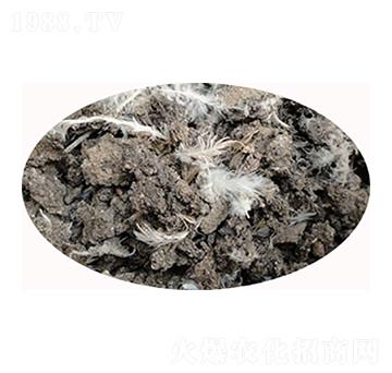 ʯ���f����u�S-���S����