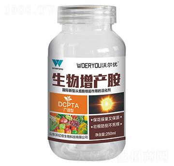 �������a(ch��n)��-�֠���(y��u)