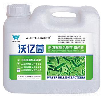 �ߝ�s�ͺ�΢�������-�փ|��-�֠���(y��u)