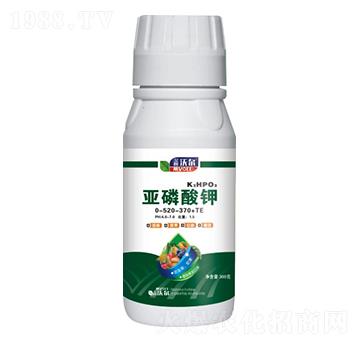 �������0-520-370+TE-��ķ�֠�