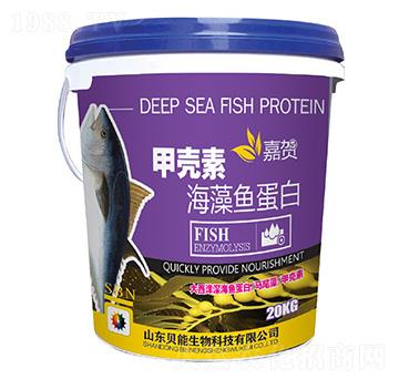 �ך��غ����~����-���R-ؐ������