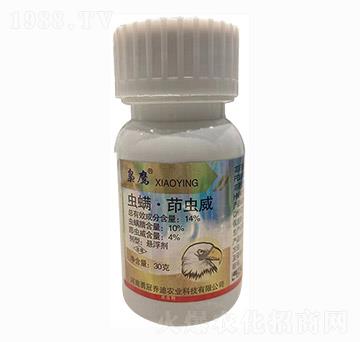 30g�x�������x���Ҹ���-�n��-�����_