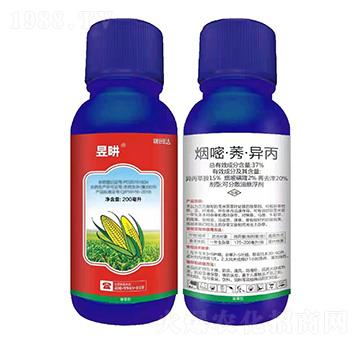 ��������݄�-�Ůu-�����_