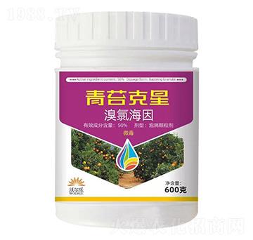 ��̦����-�֠���