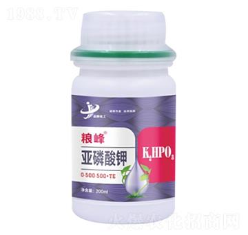 �������0-500-500+TE �Z�� ���ƻ���