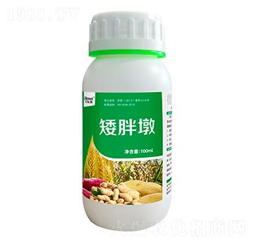 ֲ�����L(zh��ng)ƽ�℩ ���ֶ� ������