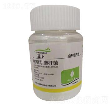 �ݲ�ѿ�ߗU�����׷۲����ã�-����-��ɭ�߿�