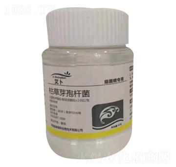 �ݲ�ѿ�ߗU������(x��)�������ã�-����-��ɭ�߿�