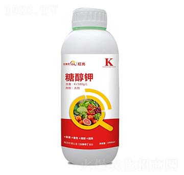 �Ǵ�� �t�� �ֱ�������