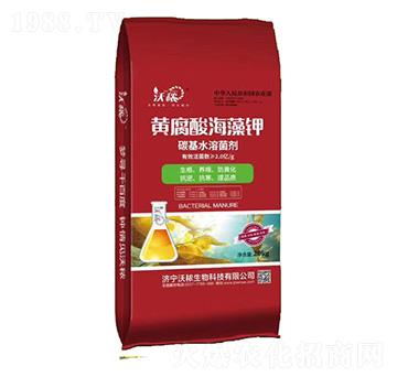 �S���ả��� ��������