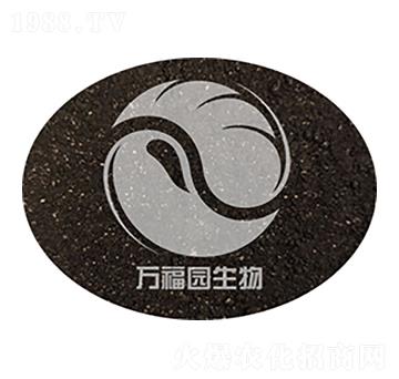 50�|ÿ�˺���ù-�f���@����