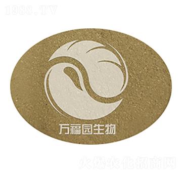 50�|ÿ������ù-�f���@����