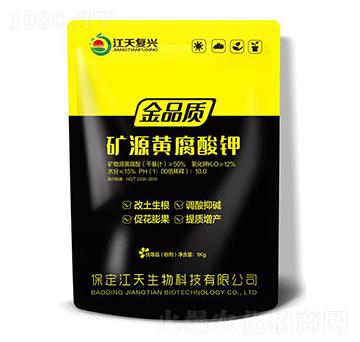 �VԴ�S�����-��������