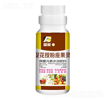 �ٻ��ڷ������`-�����Ƽ�