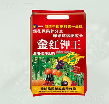 �������~����-��t���-���@����