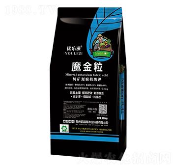 ���VԴ��ֲ���-ħ����-�P��˹