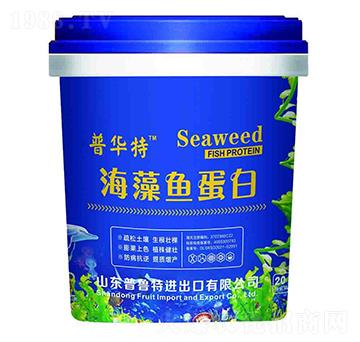 �����~����-������