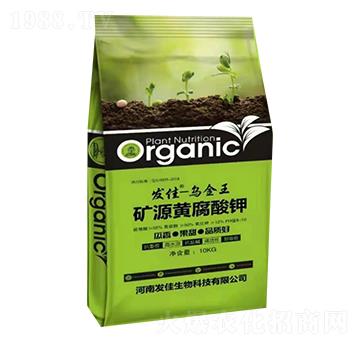 �VԴ�S�����-������-�l(f��)��