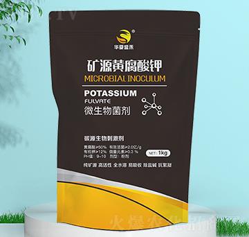 �VԴ�S�����-ʢ��