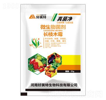 �L(zh��ng)֦ľù-�����-������