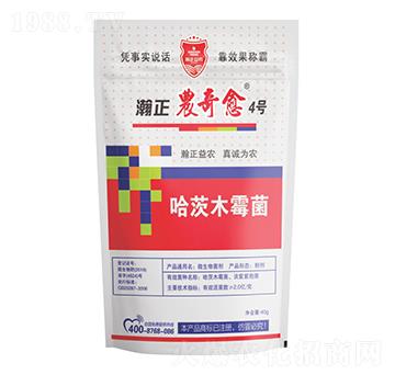 ����ľù��-����r����4̖-������r