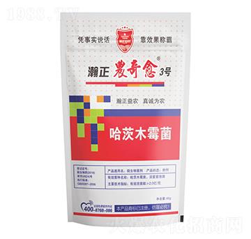 ����ľù��-����r����3̖-������r