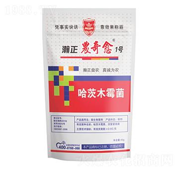 ����ľù��-����r����1̖-������r