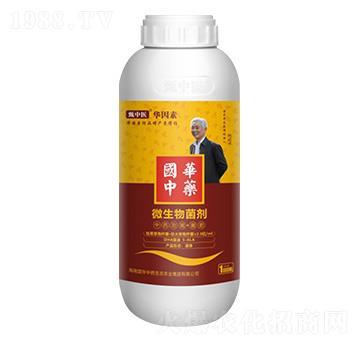 ΢�������-�����t(y��)���A����-��(gu��)�A��ˎ