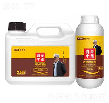 ��ˎ���ܡ�����-�����t(y��)�����-��(gu��)�A��ˎ