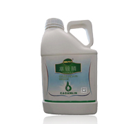 10%���@�-�G���r(n��ng)