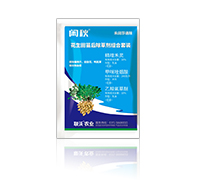 �e�ﻨ������݄��M�����b