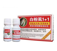 ��x��-�׷�ʭ����